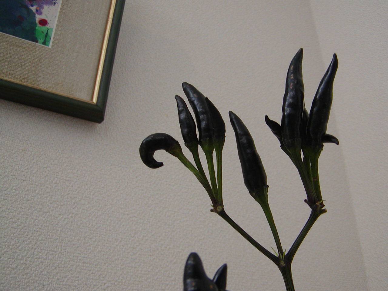 20100928123032880.jpg