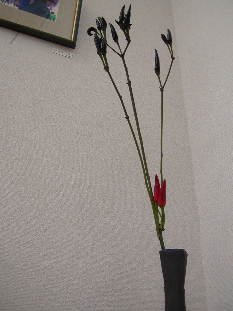 20100928123031880.jpg