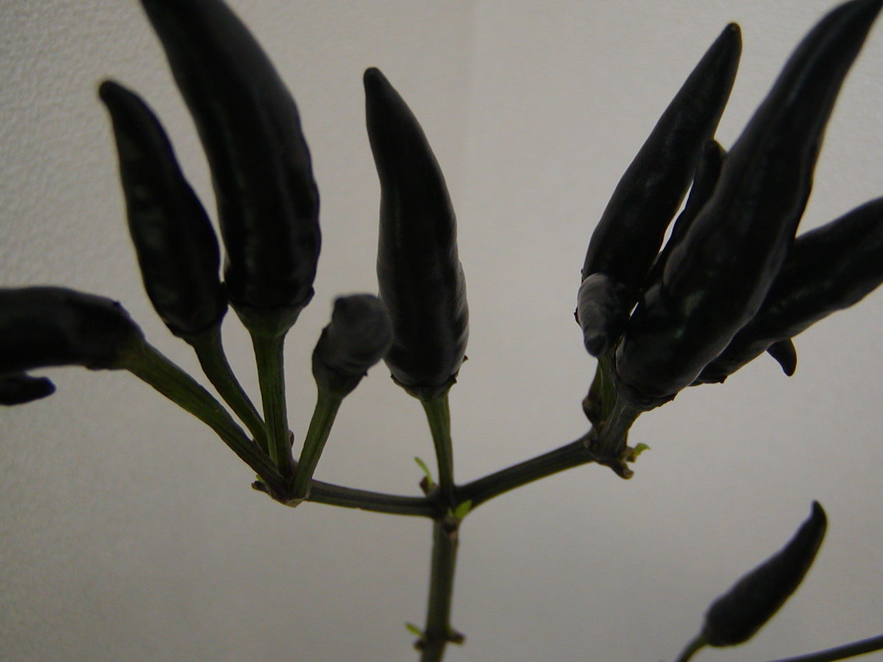 20100928123032880_1.jpg