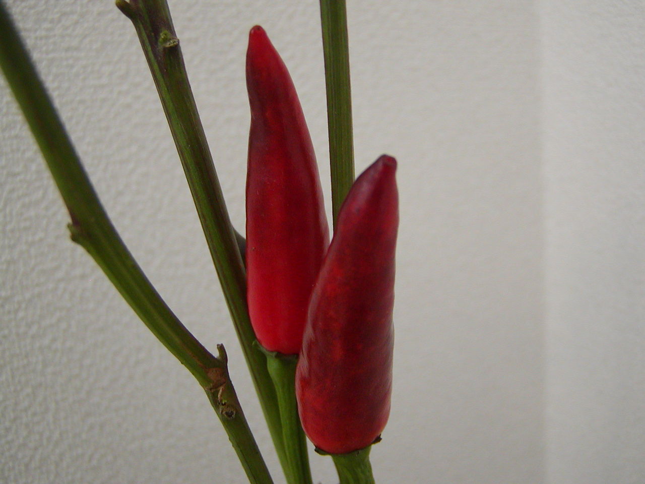 20100928123032880_2.jpg