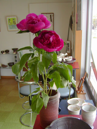 2011042114021115805_1.jpg