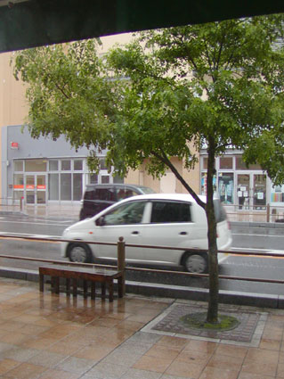 2011052813534630377.jpg