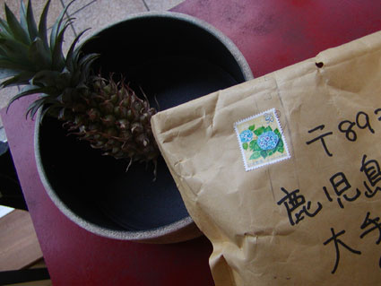 2011061715395931784.jpg