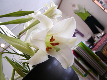 201108121241495903.jpg