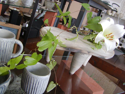 201108131618221035.jpg