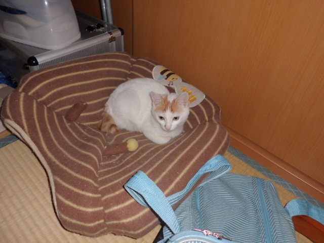 CIMG0716.jpg