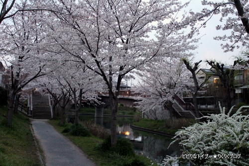 1-IMG_1808.jpg