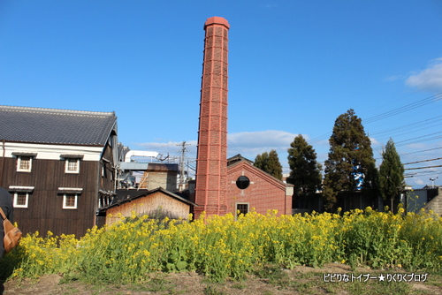 12-IMG_1487.jpg
