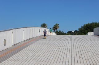 IMG_0945.jpg
