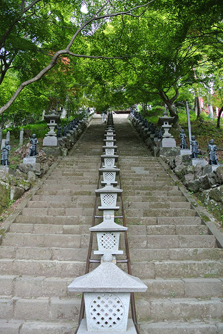 DSC_7976.jpg