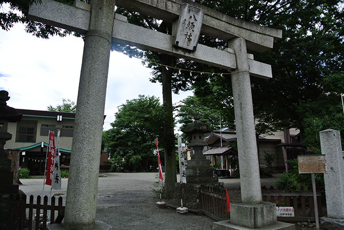 DSC_8346.jpg