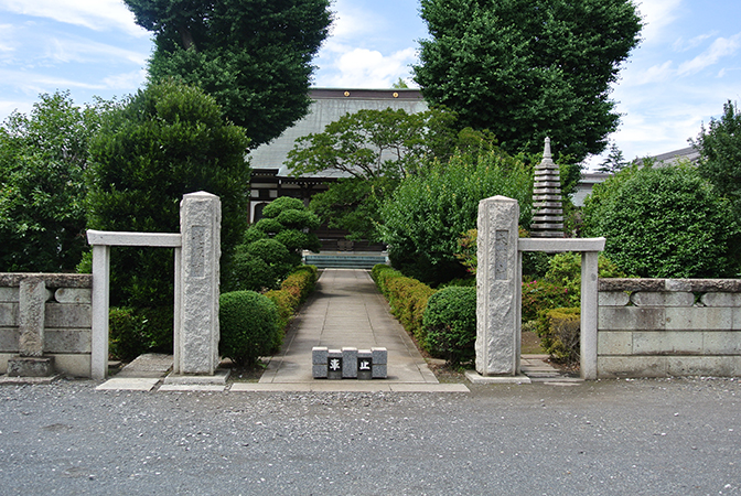 DSC_8508.jpg