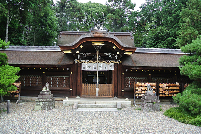 DSC_8718.jpg