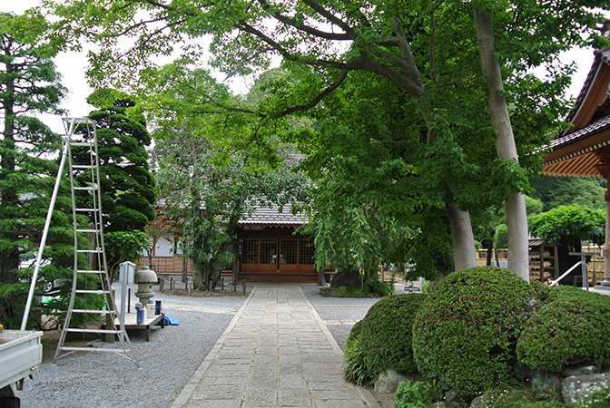DSC_8818.jpg