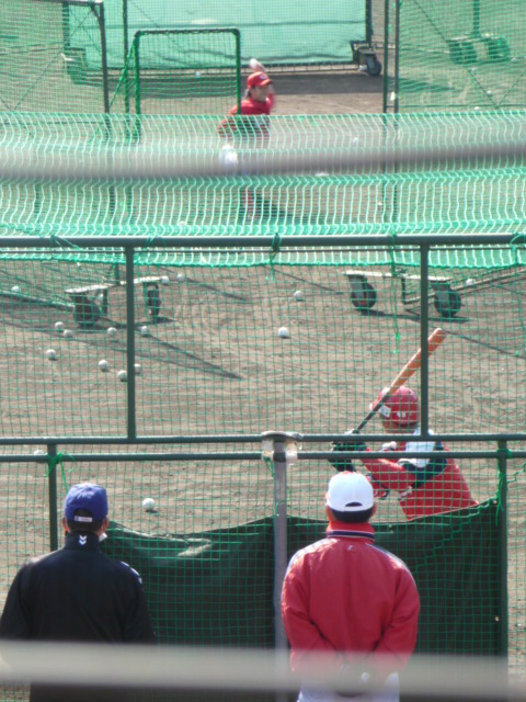 P1040520.jpg