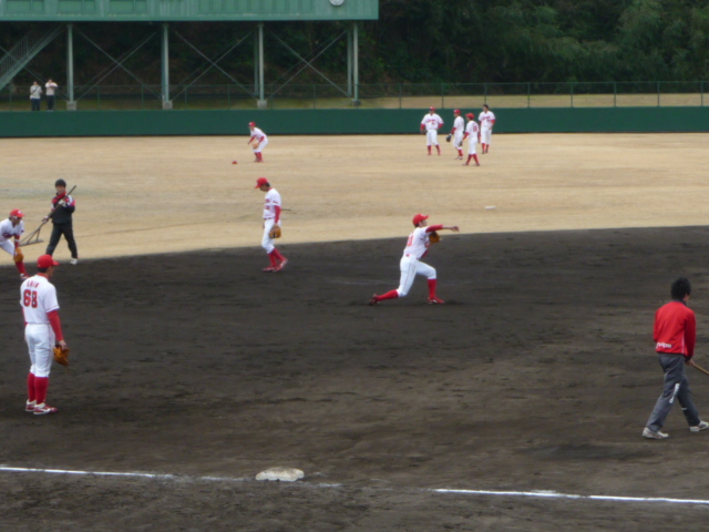 P1040550.jpg