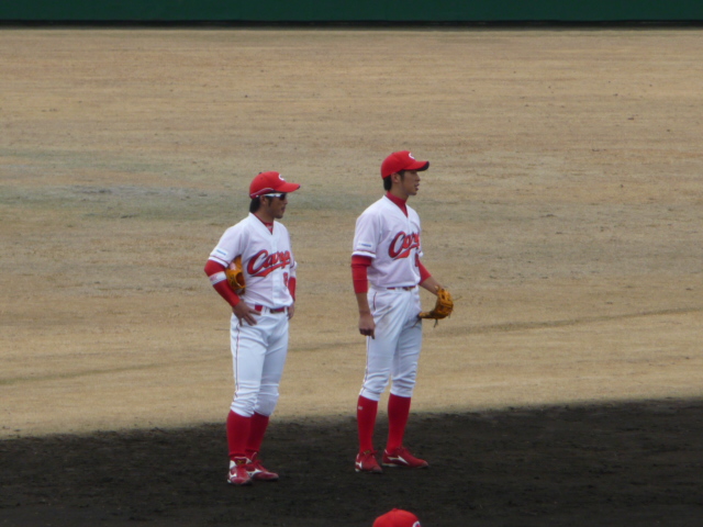 P1040560.jpg