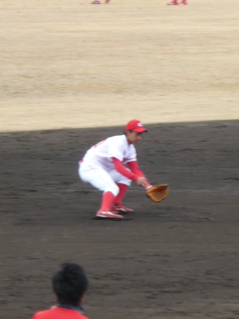 P1040564.jpg