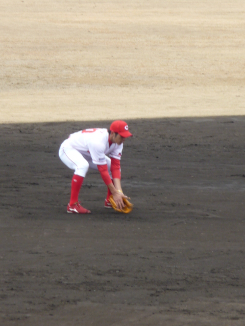 P1040565.jpg