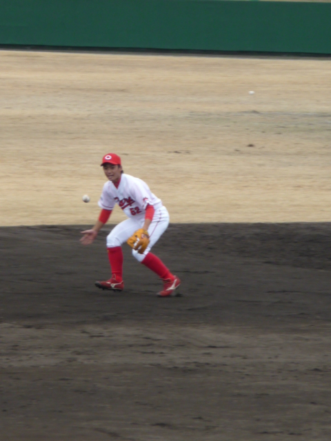 P1040567.jpg