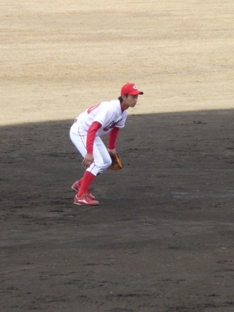 P1040568.jpg