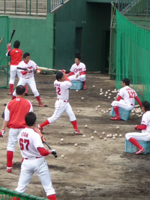 P1040575.jpg