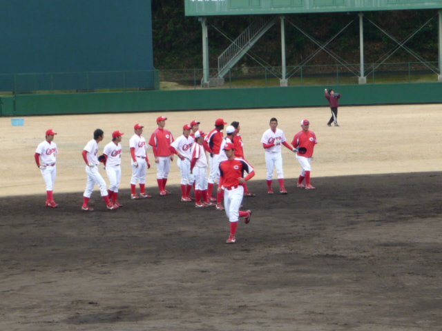 P1040577.jpg