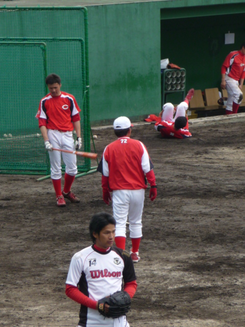 P1040631.jpg