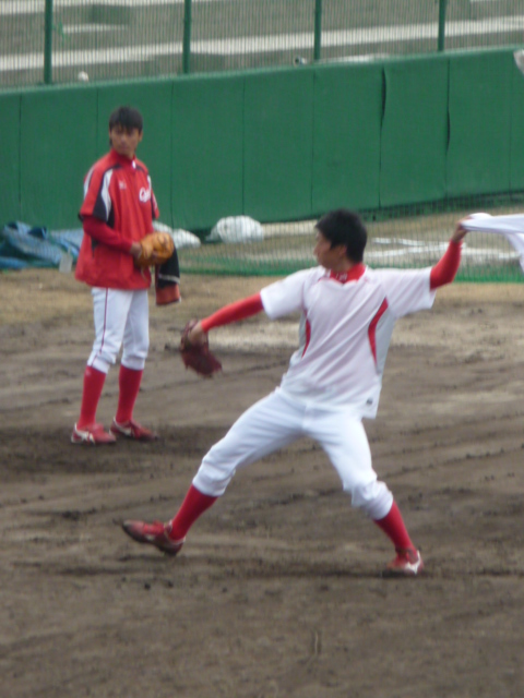 P1040635.jpg