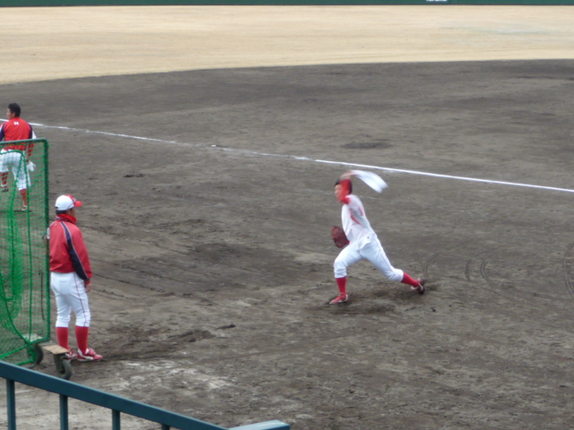 P1040643.jpg