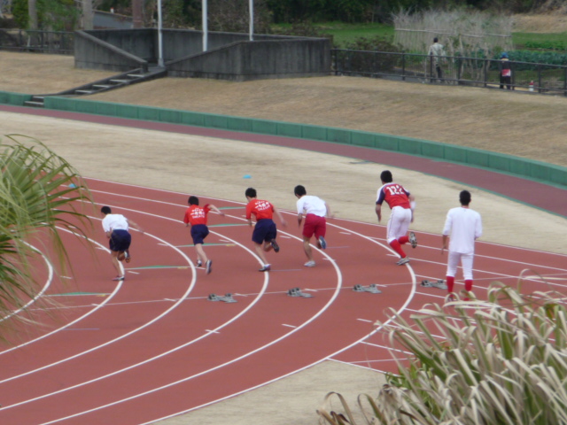 P1040656.jpg