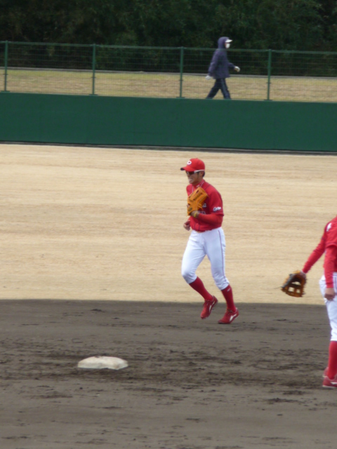 P1040661.jpg