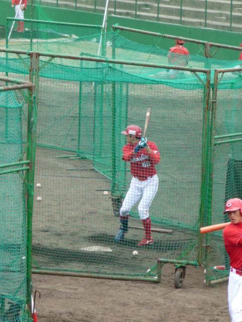 P1040663.jpg