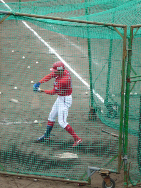 P1040669.jpg