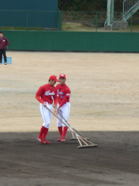 P1040678.jpg