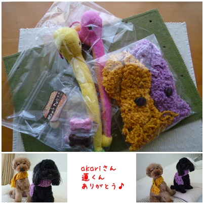201301254.jpg