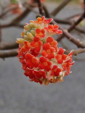 480R0030004.jpg