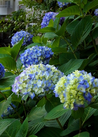 480R0030147.jpg