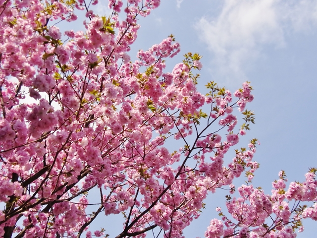 640R0030057.jpg