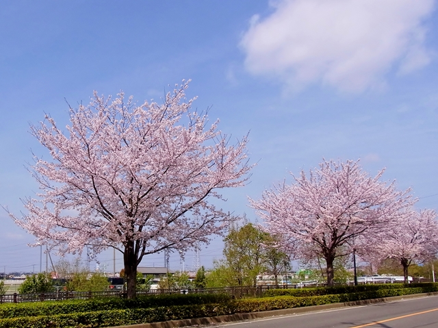 640R0030060.jpg