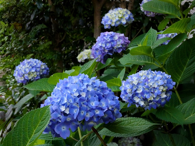 640R0030150.jpg