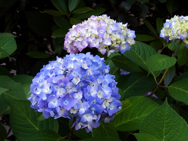640R0030153.jpg