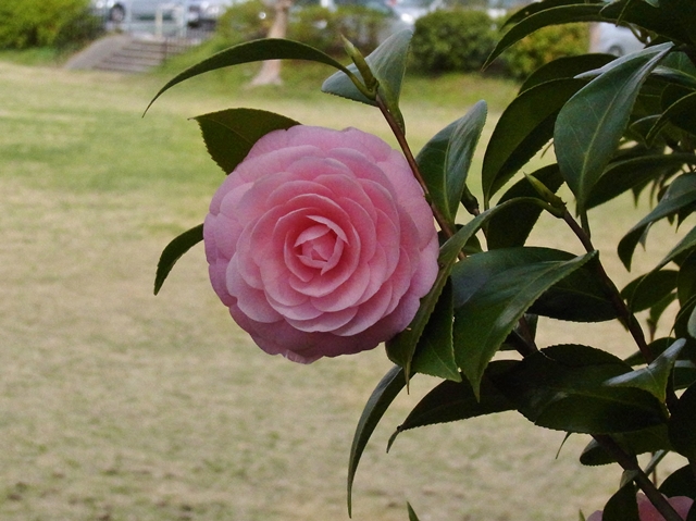 640R0030176.jpg