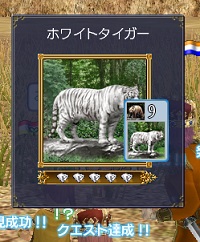 ホワイトタイガー