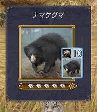ナマケグマ