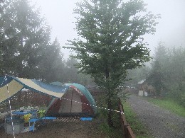 11081915.jpg