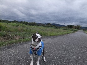 11093006.jpg