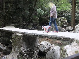11100326.jpg