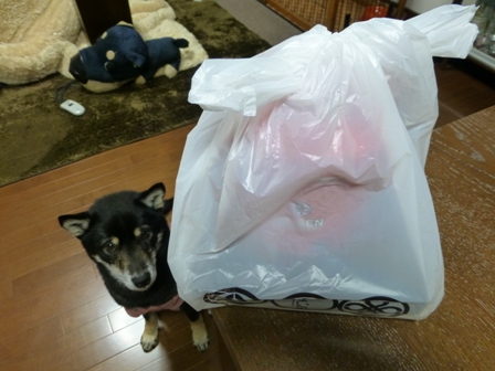 まい泉5