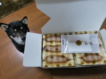 まい泉7
